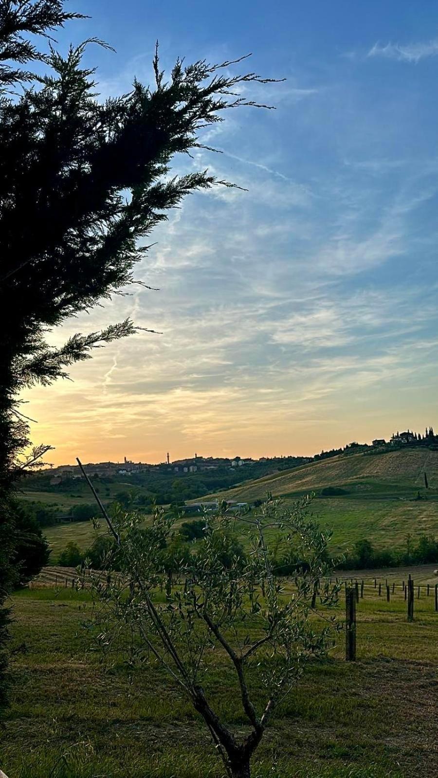Agriturismo La Terrazza Sul Mangia Siena Exterior foto