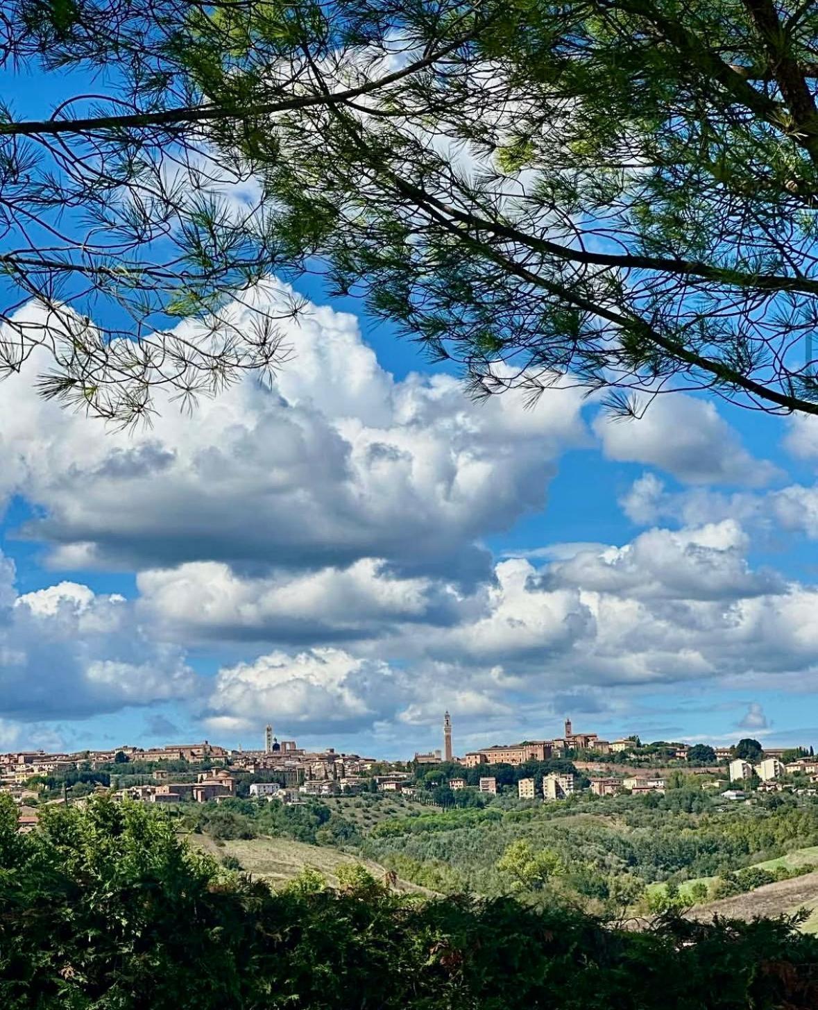 Agriturismo La Terrazza Sul Mangia Siena Exterior foto